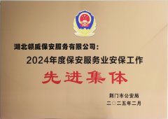 喜報！領(lǐng)威保安榮獲“2024年度保安服務(wù)業(yè)安保工
